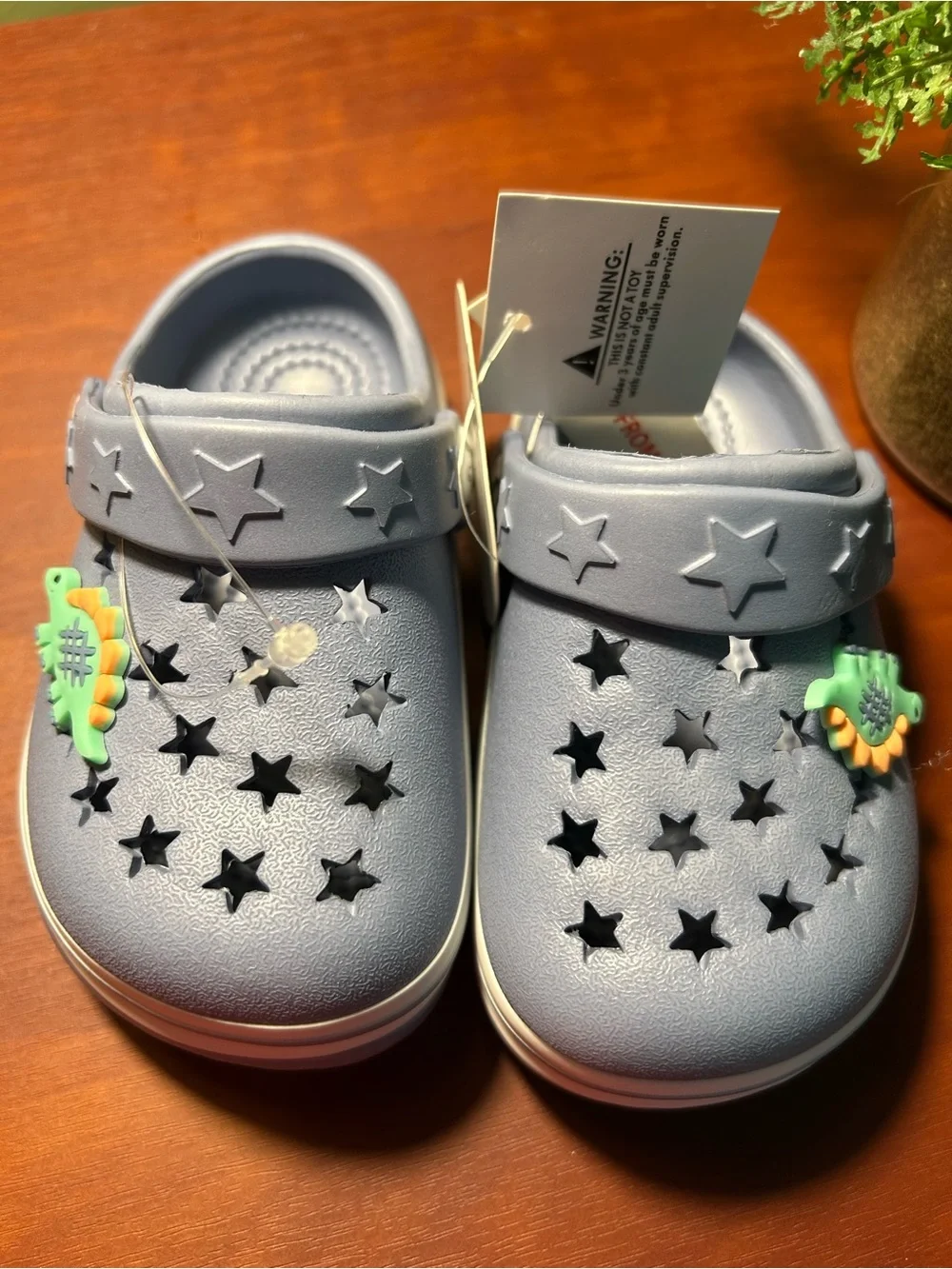 Koala Kids Light blue Star Clogs with Green and Yellow Dinosaur Charms